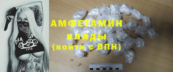 мет Алексин