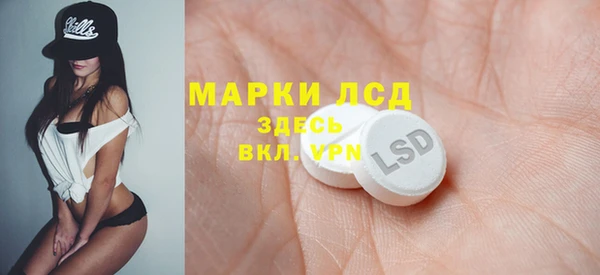 мет Алексин