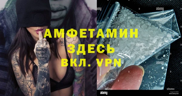 мет Алексин