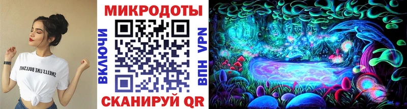 гидра ТОР  Аргун  Галлюциногенные грибы Cubensis 