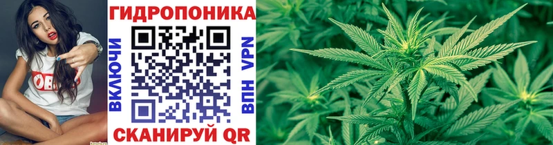Шишки марихуана LSD WEED цена наркотик Аргун